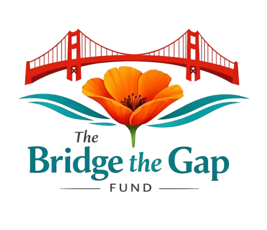 The Bridge the Gap Fund